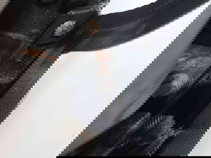 Motor complet ambielat  Volkswagen Golf 5 (1K1) [Fabr 2004-2008] BMN 2.0 TDI BMN 125KW / 170CP