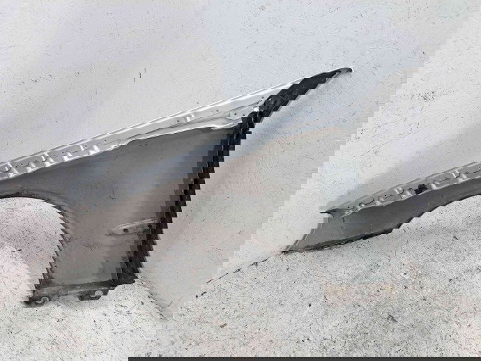 Aripa dreapta fata Mercedes Clasa E T-Model (S211) [Fabr 2003-2009] Facelift