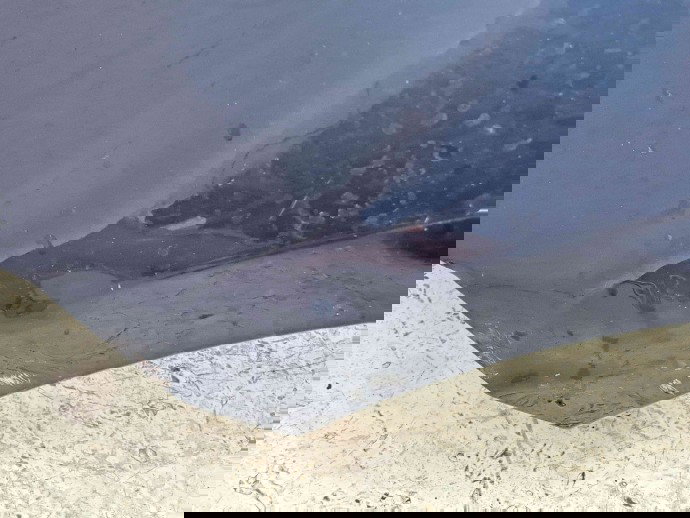 Aripa stanga fata Bmw 1 (F20) [Fabr 2011-2017]