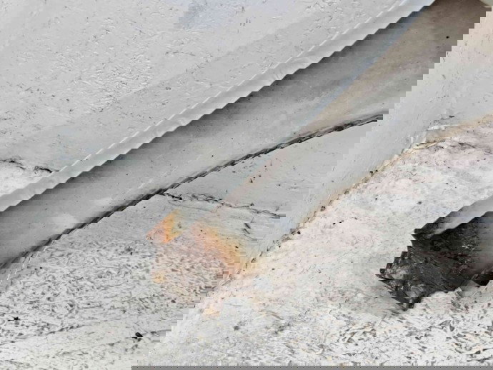 Aripa stanga fata Seat Leon (1P1) FR [Fabr 2005-2011]