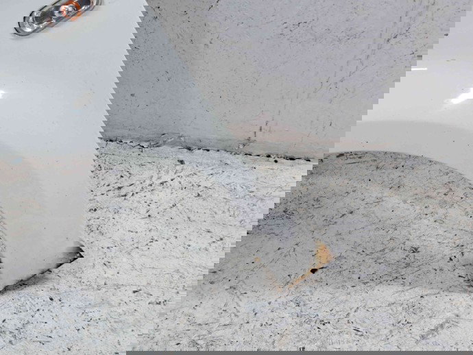 Aripa stanga fata Seat Leon (1P1) FR [Fabr 2005-2011]