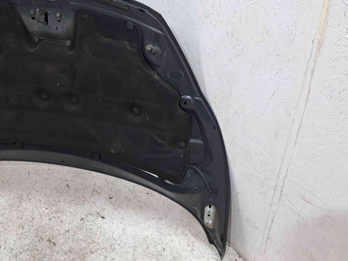 Capota motor Ford Fiesta 6 [Fabr 2008-2019]