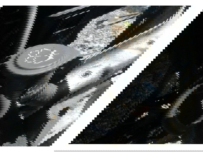 Vas strop gel BMW Seria 5 E61 2.5 OEM 2004-2010