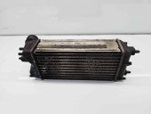 Radiator intercooler Ford Fiesta 6 [Fabr 2008-2019] AV21-9L440-AB 1.4 TDCI F6JD 50KW / 68CP