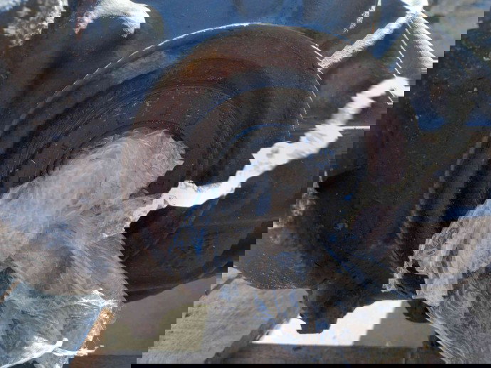 Diferential spate A2043504712 Mercedes C220 (W204) 2.2 2007-2014