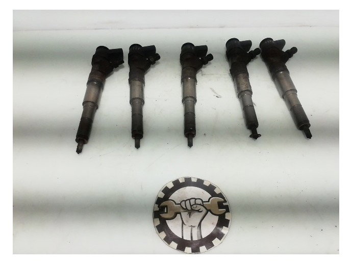 Injectoare BMW Seria 5[E61] 2.5 Diesel 0445110212 2003-2010
