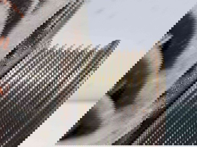 Alternator Nissan Juke [Fabr 2010-2014] Hatchback 23100 1KA1A 1.6 B HR16DE   