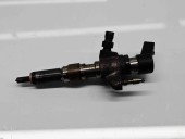 Injector  Citroen C3 (II) [Fabr 2009-2016] 9802448680 1.6 TDCI T1DA 70KW / 95CP