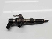 Injector  Citroen C3 (II) [Fabr 2009-2016] 9802448680 1.6 TDCI T1DA 70KW / 95CP
