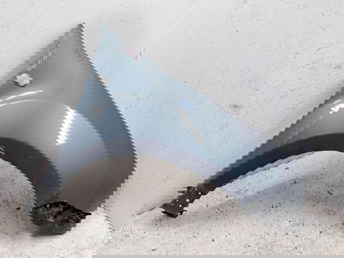 Aripa dreapta fata Dacia Duster [Fabr 2010-2017]