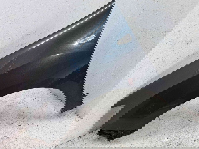 Aripa stanga fata Dacia Sandero 2 [Fabr 2012-prezent]