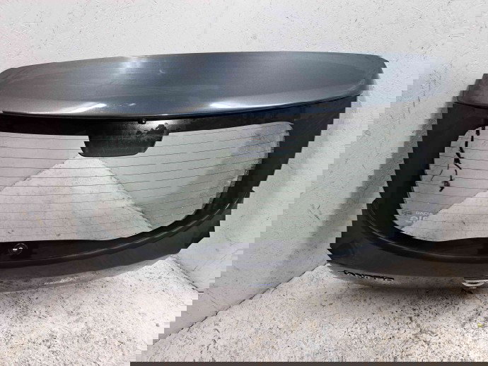 Haion Dacia Sandero 2 [Fabr 2012-prezent]