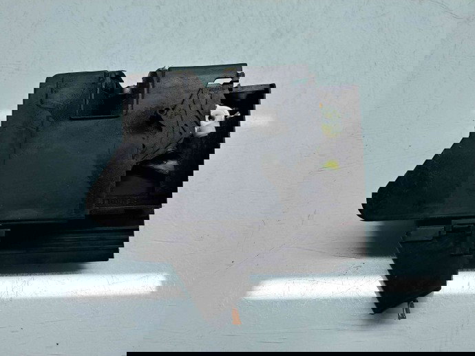 Broasca usa dreapta spate Dacia Sandero 2 [Fabr 2012-prezent]