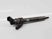 Injector Bmw 5 (F10) [Fabr 2011-2016] 7810702 / 0445110595 2.0 N47D20 135KW / 184CP