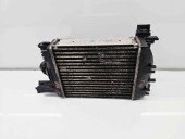 Radiator intercooler Renault Megane 3 (B95) [Fabr 2008-2016] 144967634R 1.6 B K4M848 74KW / 101CP
