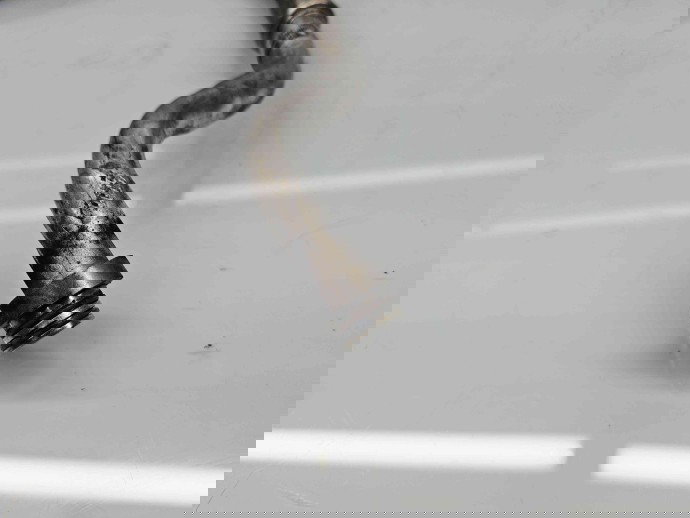 Conducta AC Nissan Qashqai Facelift (2) [Fabr 2009-2013] 92480BR30B 1.5 DCI K9K430 81KW / 110CP