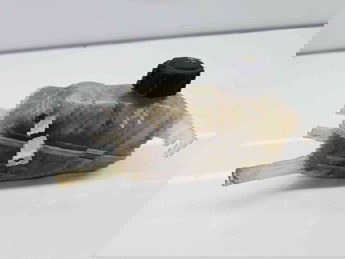 Vas expansiune Renault Megane 3 (B95) [Fabr 2008-2016]