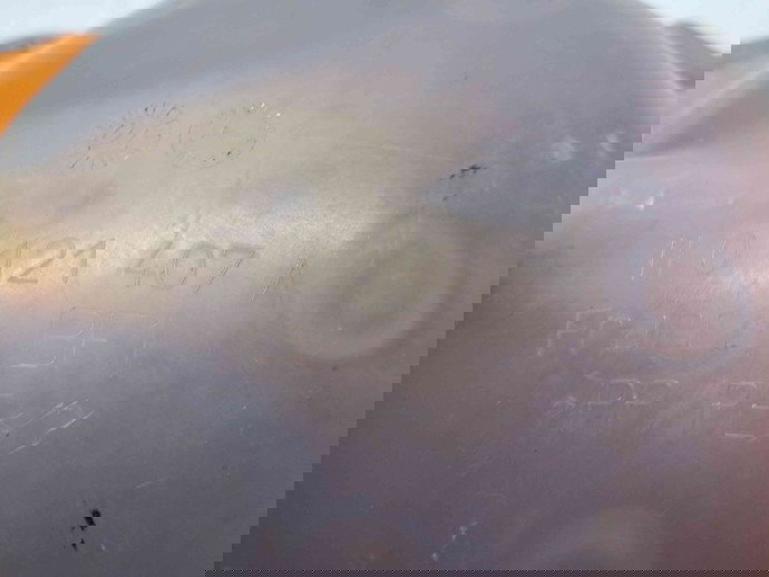 Vas expansiune Volkswagen Passat B7 (362) [Fabr 2010-2014]