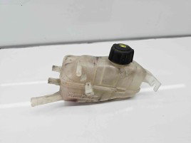 Vas expansiune Renault Scenic 3 [Fabr 2009-2015]