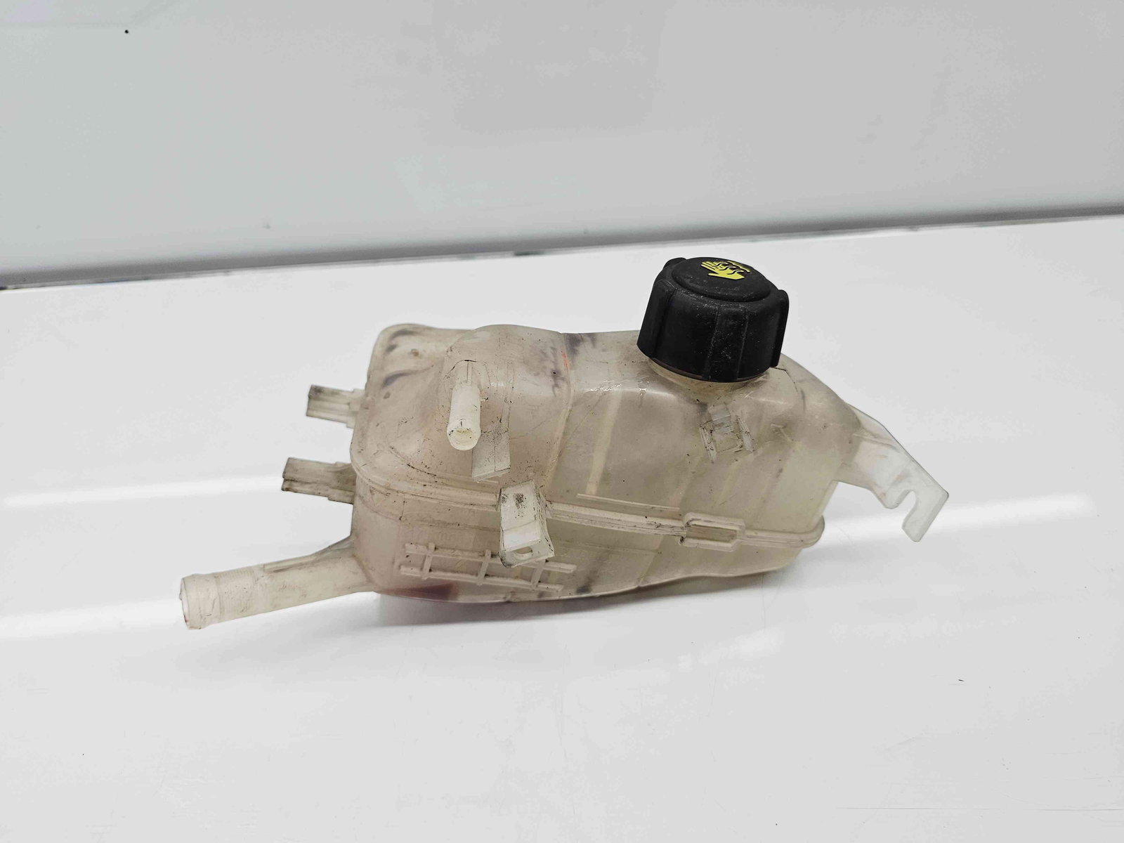 Vas expansiune Renault Scenic 3 [Fabr 2009-2015] - imagine 1