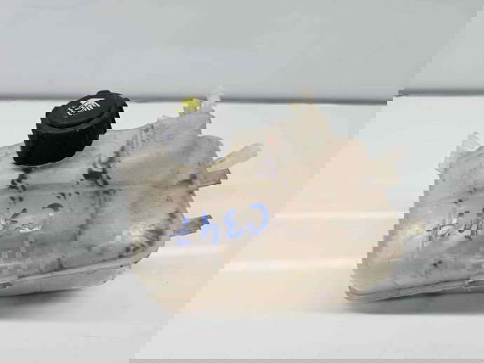 Vas expansiune Renault Scenic 3 [Fabr 2009-2015]