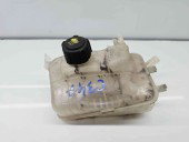 Vas expansiune Renault Scenic 3 [Fabr 2009-2015]