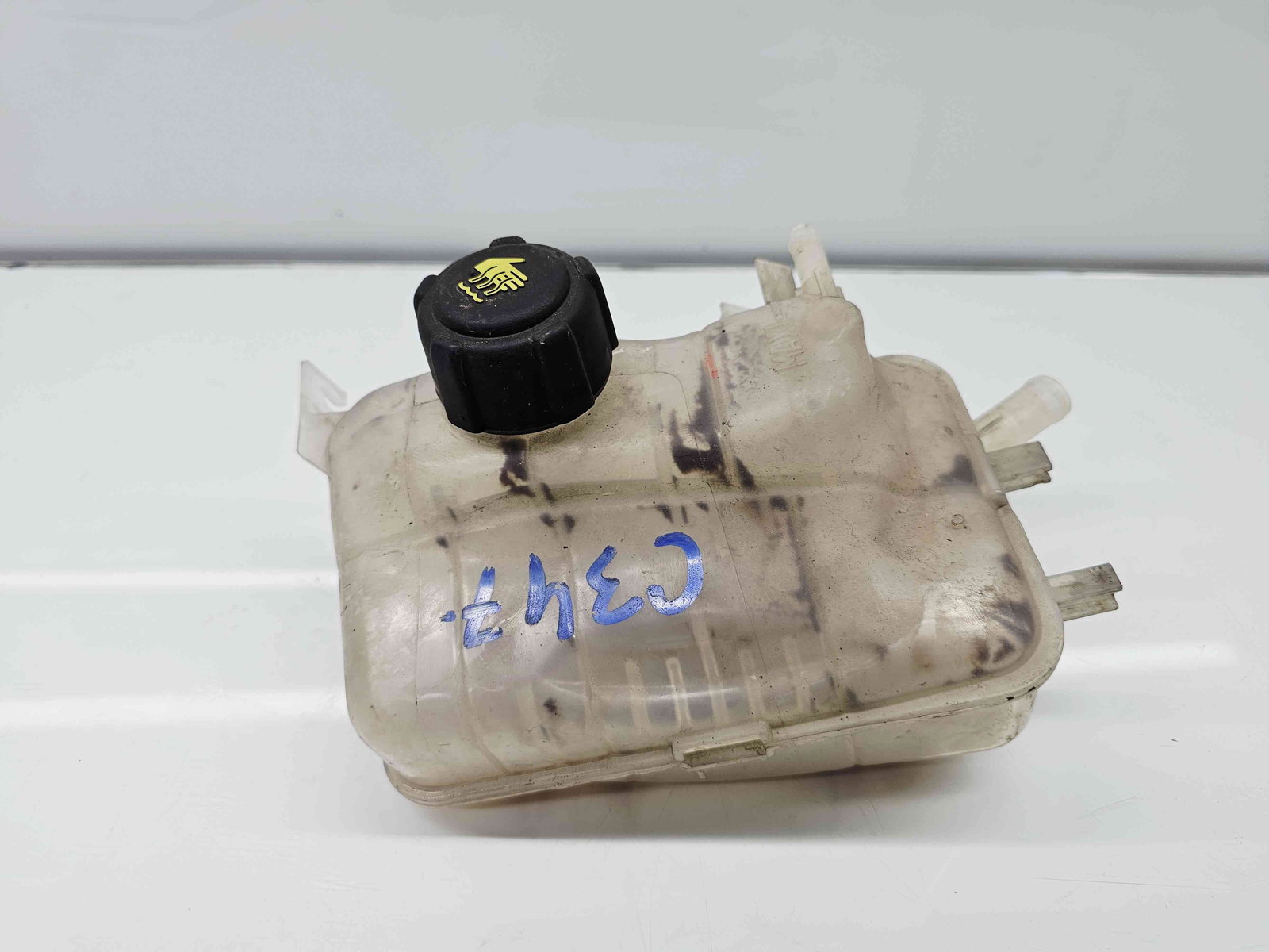 Vas expansiune Renault Scenic 3 [Fabr 2009-2015] - imagine 2