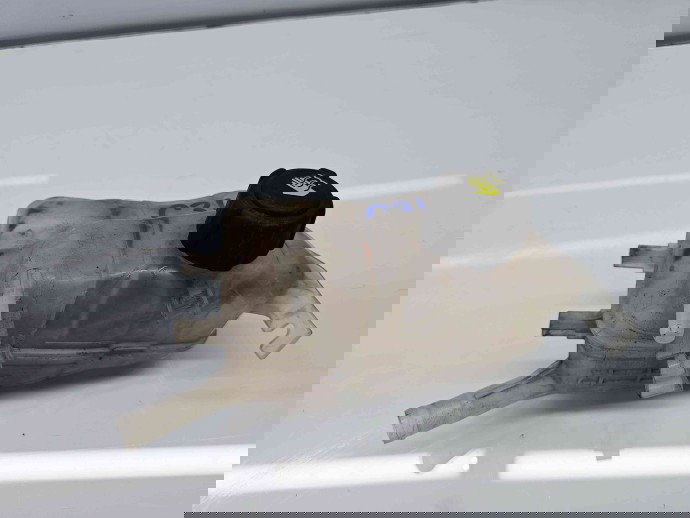 Vas expansiune Renault Scenic 3 [Fabr 2009-2015]