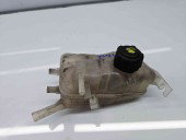 Vas expansiune Renault Scenic 3 [Fabr 2009-2015]