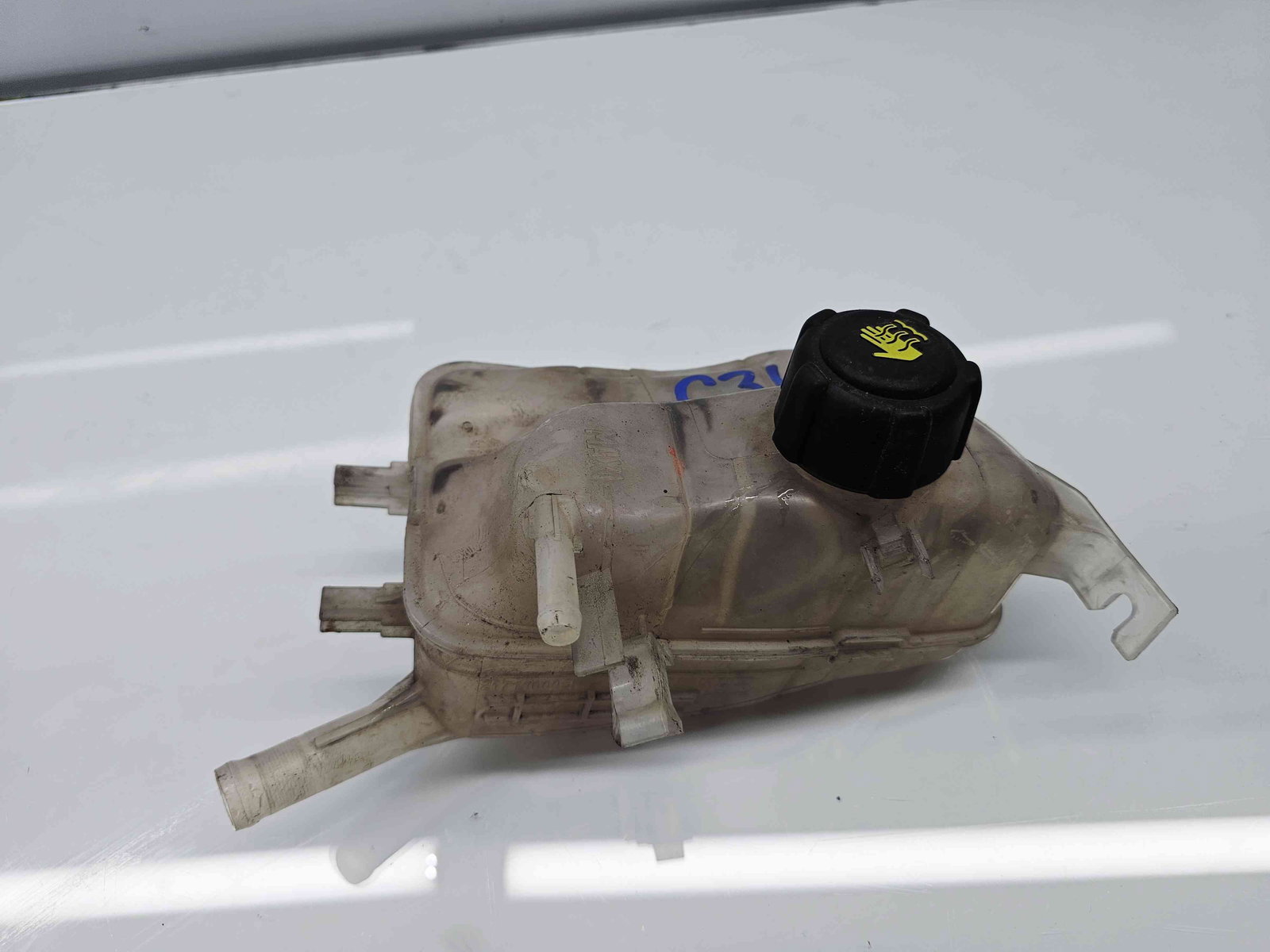 Vas expansiune Renault Scenic 3 [Fabr 2009-2015] - imagine 4