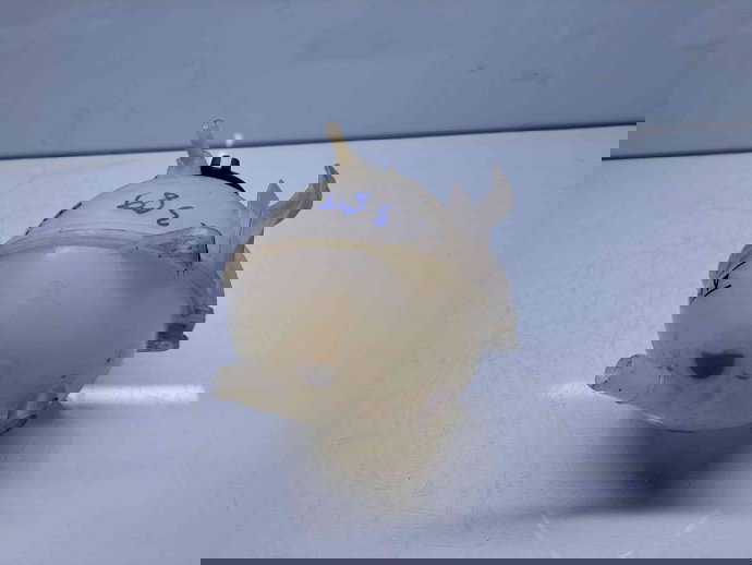 Vas expansiune Audi A3 (8P1) [Fabr 2003-2012]