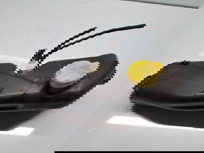  Vas lichid parbriz  Dacia Logan 2 [Fabr 2012-2020] 289101840R