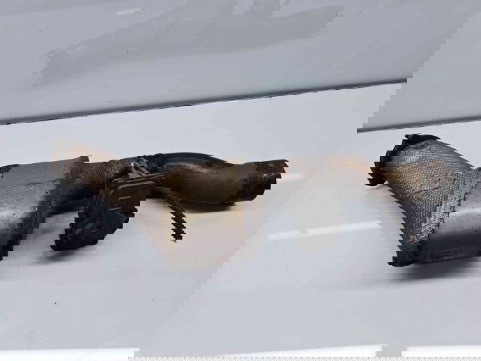 Filtru particule Audi A4 (8W2, B9) [Fabr 2015-2023] 4G0131703AE 2.0 TDI DETA 140KW / 190CP