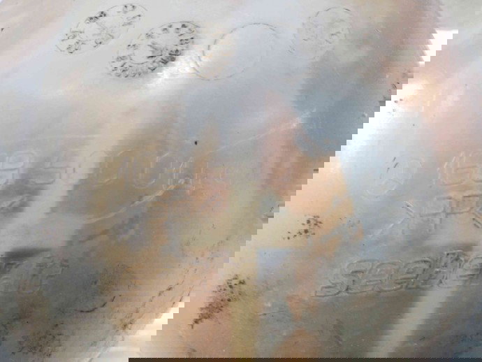 Vas expansiune A1695000149 Mercedes B200 W245 2.0 CDI 2005-2011