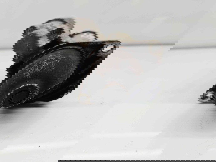  Electromotor 10 dinti  Opel Astra J [Fabr 2009-2015] 25194650 1.4 B B14NET103KW / 140CP