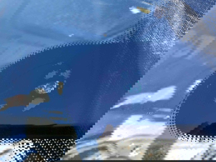 Senzor ploaie OEM Mercedes B200 W245 2.0 CDI 2005-2011