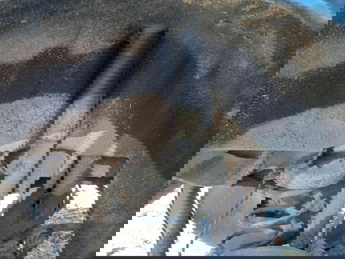 Amortizor dreapta spate OEM Mercedes B200 W245 2.0 CDI 2005-2011