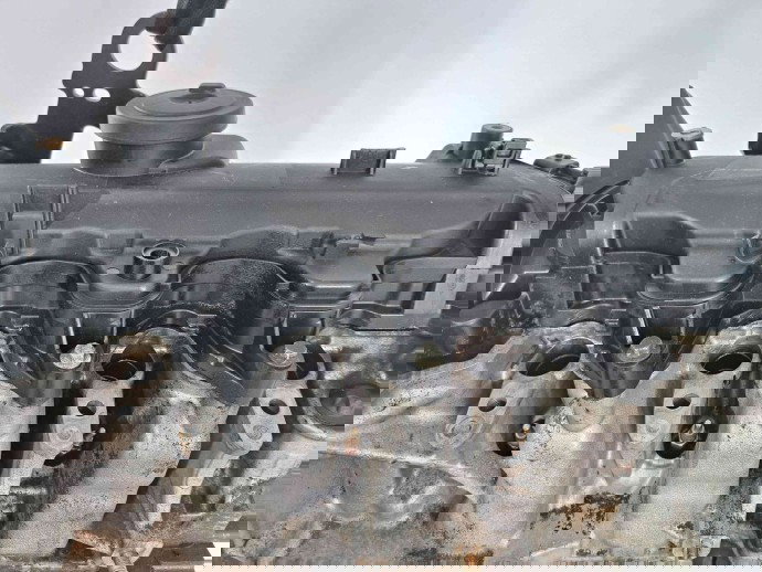 Motor complet ambielat  Renault Scenic 3 [Fabr 2009-2015] K9KN837 1.5 DCI K9K430 81KW / 110CP