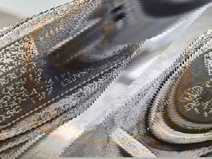 Pompa inalta presiune Seat Ibiza 5 (6J5) FR [Fabr 2008-2017] 03C127026M 1.2 TSI CBZB 77KW / 105CP