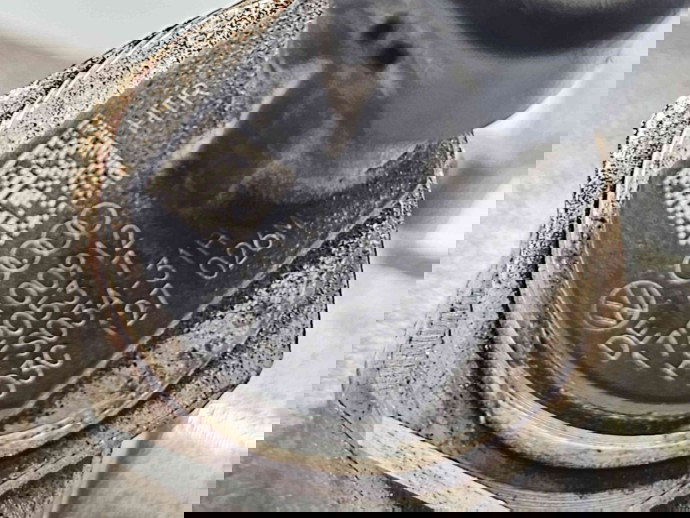 Pompa inalta presiune  Volkswagen Golf 6 (5K1) [Fabr 2009-2013] 03C127026M 1.2 TSI CBZB 77KW / 105CP