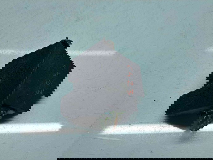 Broasca haion Volkswagen Passat B7 (365) Variant [Fabr 2010-2014]