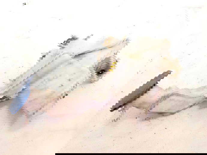 Vas lichid parbriz 3C0955453 Volkswagen Passat B6 2.0 BKP 2005-2010