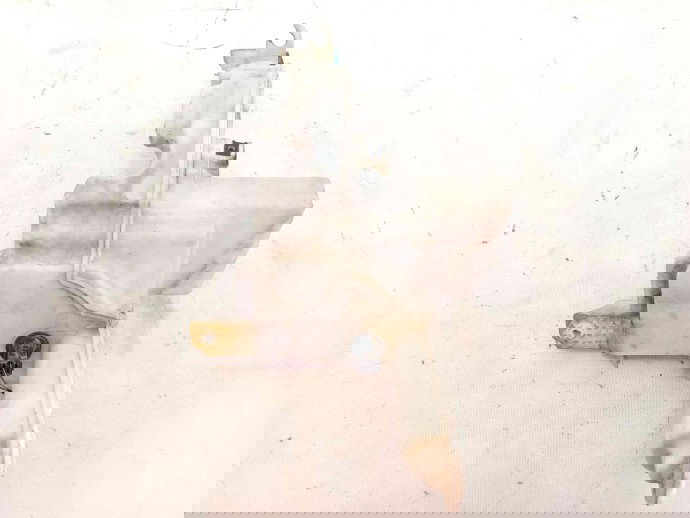 Vas lichid parbriz 3C0955453 Volkswagen Passat B6 2.0 BKP 2005-2010