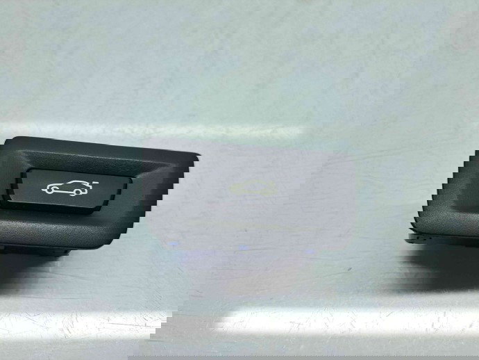  Buton deschidere portbagaj  Bmw 3 (F30) [Fabr 2012-2017] 9275119-02