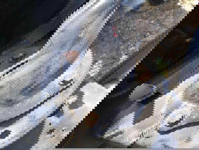 Amortizor dreapta fata OEM Ford Focus 2 1.6 2004-2012