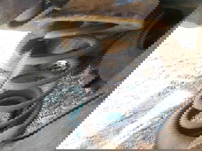 Amortizor dreapta spate OEM Ford Focus 2 1.6 2004-2012