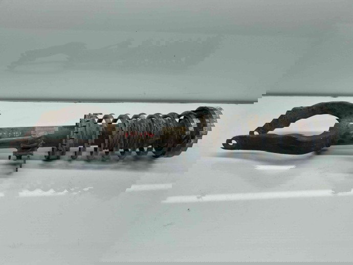 Amortizor stanga fata Bmw 5 (F10) [Fabr 2011-2016]2.0 N47D20 160KW / 218CP