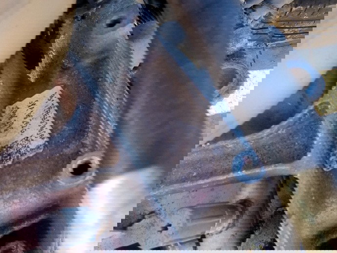 Tampon motor dreapta Skoda Octavia 3 Combi (5E5) [Fabr 2012-prezent] Facelift 5WA199262G 1.6 TDI DGTE 85KW / 116CP