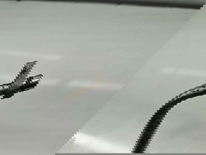 Conducta AC Nissan Qashqai (2) [Fabr 2013-2017] 924924EA0A 1.5 DCI K9K 81KW / 110CP