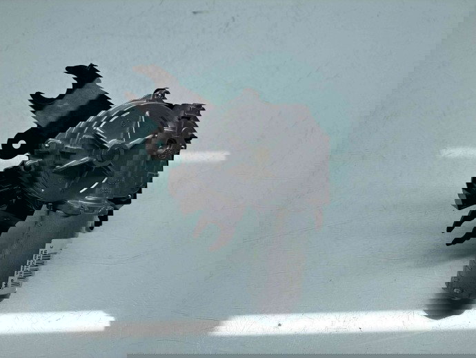  Motoras stergator haion Renault Clio 4 (B98) Hatchback [Fabr 2012-2020] 287105483R